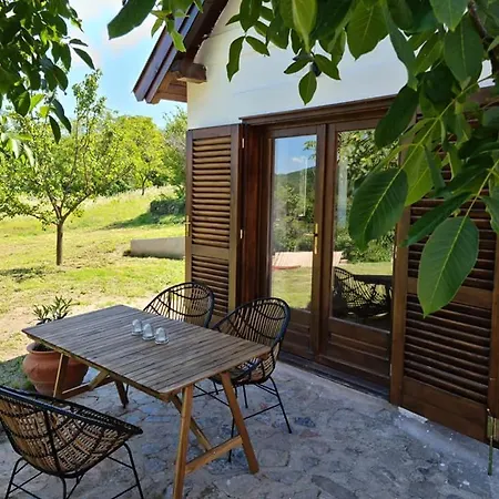 Bencze Pincze Badacsony Hill Villa Nemesgulács Exterior photo